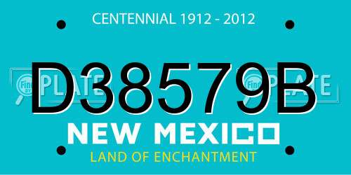 D38579B New Mexico License Plate