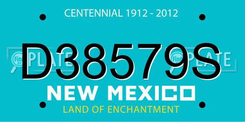 D38579S New Mexico License Plate