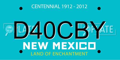 D40CBY New Mexico License Plate