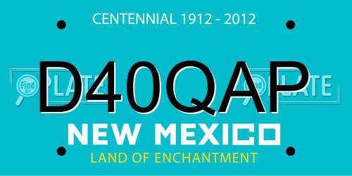 D40QAP New Mexico License Plate
