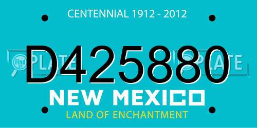 D425880 New Mexico License Plate