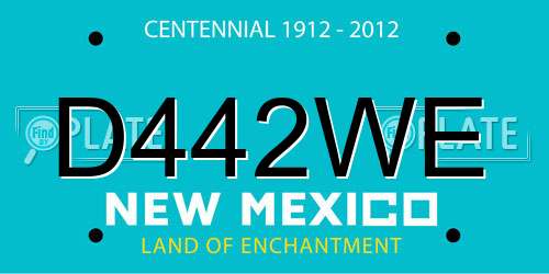D442WE New Mexico License Plate