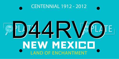 D44RVO New Mexico License Plate