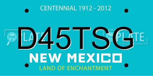 D45TSG New Mexico License Plate
