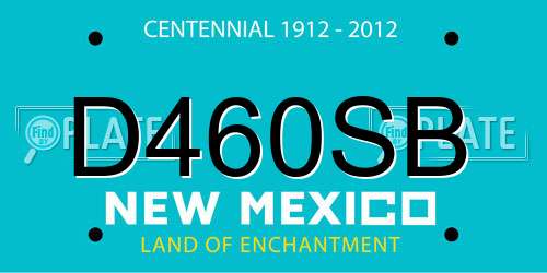D460SB New Mexico License Plate