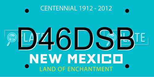 D46DSB New Mexico License Plate
