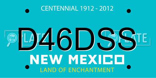 D46DSS New Mexico License Plate