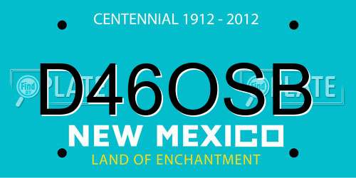 D46OSB New Mexico License Plate