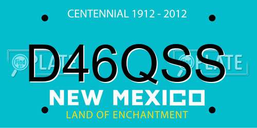 D46QSS New Mexico License Plate