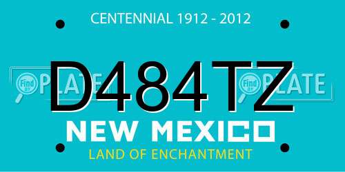 D484TZ New Mexico License Plate