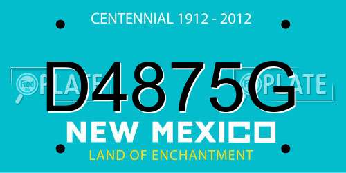 D4875G New Mexico License Plate