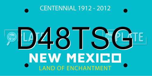 D48TSG New Mexico License Plate