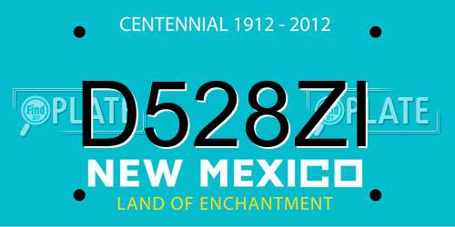 D528ZI New Mexico License Plate