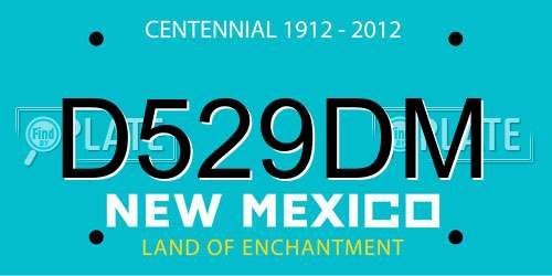 D529DM New Mexico License Plate