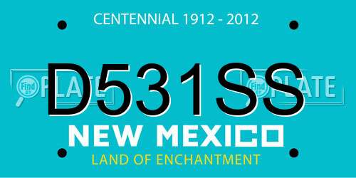 D531SS New Mexico License Plate