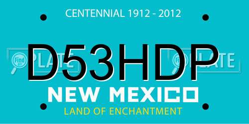 D53HDP New Mexico License Plate