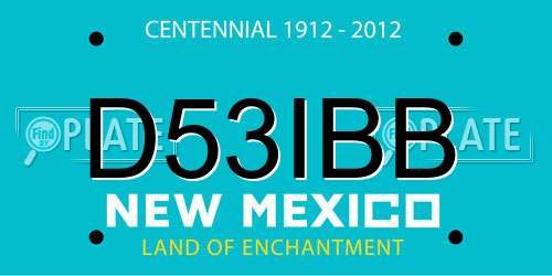D53IBB New Mexico License Plate