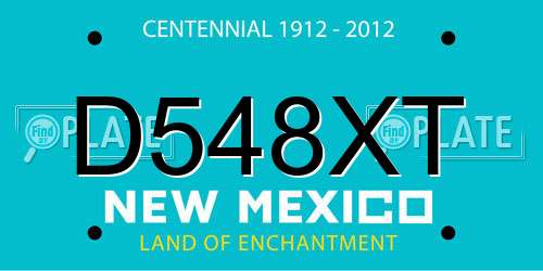 D548XT New Mexico License Plate