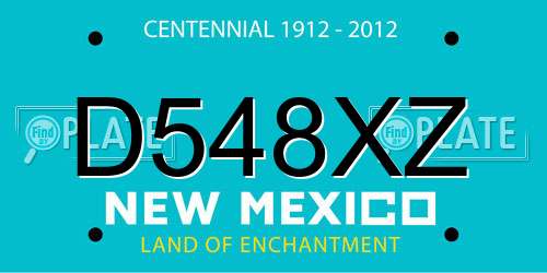 D548XZ New Mexico License Plate