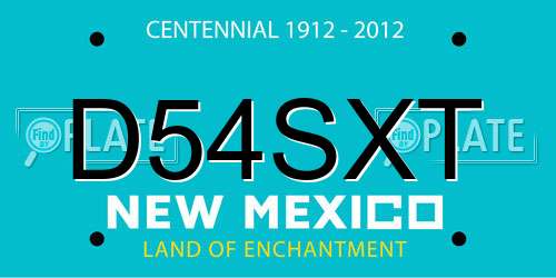 D54SXT New Mexico License Plate
