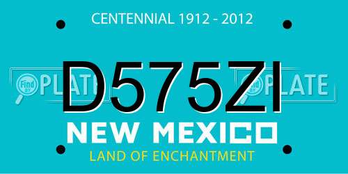D575ZI New Mexico License Plate