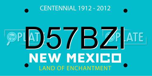 D57BZI New Mexico License Plate