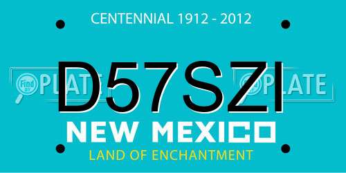 D57SZI New Mexico License Plate