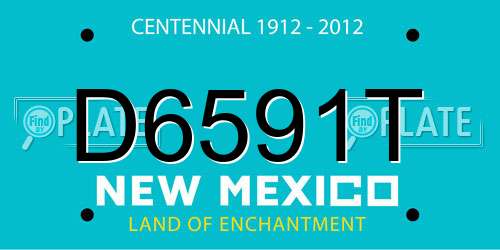 D6591T New Mexico License Plate