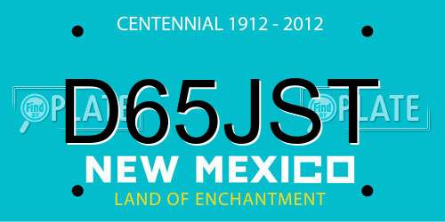 D65JST New Mexico License Plate