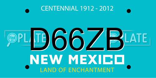 D66ZB New Mexico License Plate