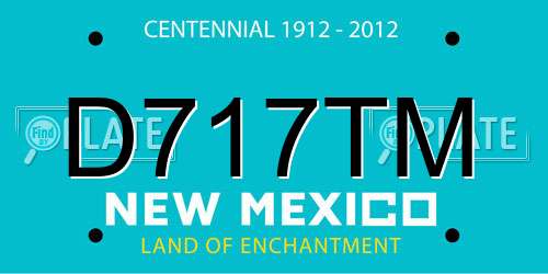 D717TM New Mexico License Plate