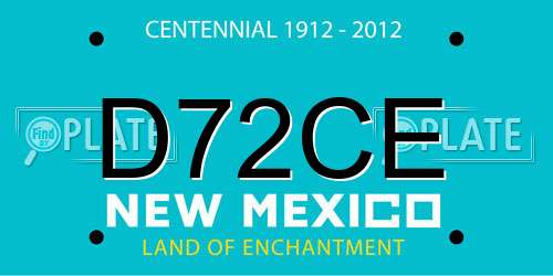 D72CE New Mexico License Plate