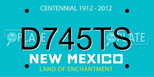 D745TS New Mexico License Plate