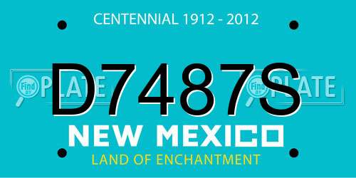 D7487S New Mexico License Plate