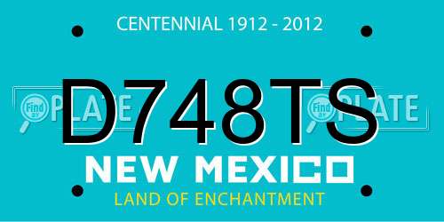 D748TS New Mexico License Plate