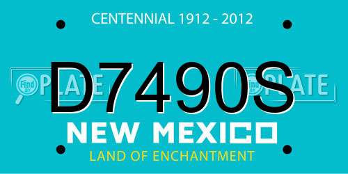 D7490S New Mexico License Plate
