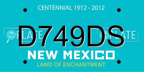 D749DS New Mexico License Plate