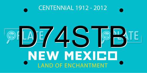 D74STB New Mexico License Plate