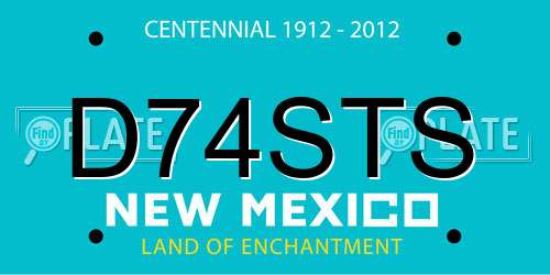 D74STS New Mexico License Plate