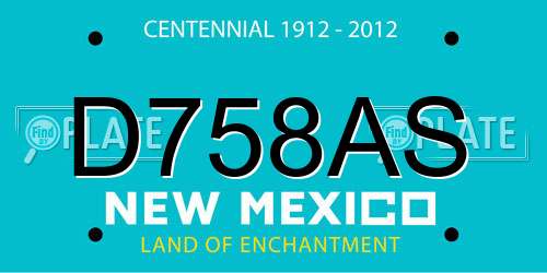 D758AS New Mexico License Plate