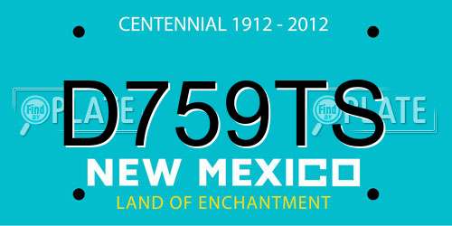 D759TS New Mexico License Plate