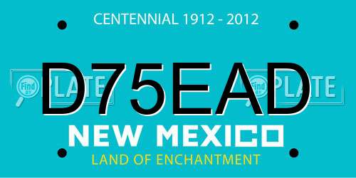 D75EAD New Mexico License Plate