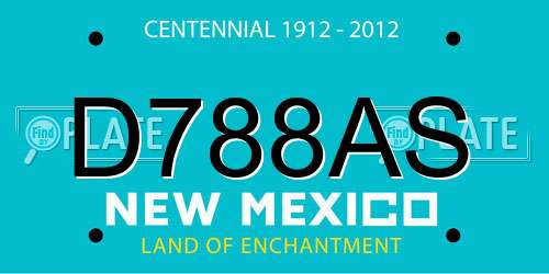 D788AS New Mexico License Plate