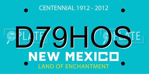 D79HOS New Mexico License Plate