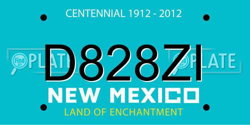 D828ZI New Mexico License Plate