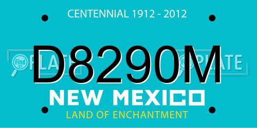 D8290M New Mexico License Plate