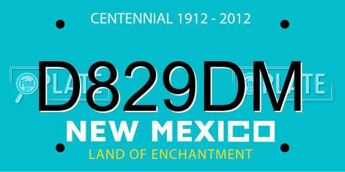 D829DM New Mexico License Plate