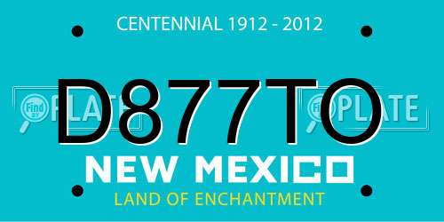 D877TO New Mexico License Plate