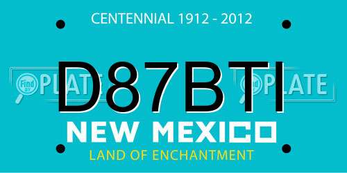 D87BTI New Mexico License Plate