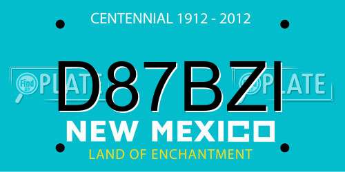 D87BZI New Mexico License Plate